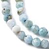 Natural Larimar Beads Strands G-F785-B01-01-4