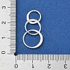 925 Sterling Silver Pendants STER-NH0018-02B-S-4