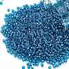 TOHO Round Seed Beads SEED-TR11-0023C-1