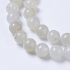 Natural Moonstone Beads Strands G-F568-228-10mm-3