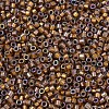 MIYUKI Delica Beads SEED-X0054-DB1691-3