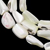 Natural Trochid Shell/Trochus Shell Beads Strands SH-CBA2978-20B-2