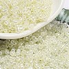 Ceylon Glass Seed Beads SEED-K009-02B-38-1