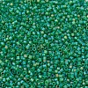 MIYUKI Delica Beads Small SEED-X0054-DBS0858-3