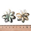 Natural Freshwater Shell Pendants SHEL-D082-08B-3