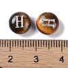 Natural Tiger Eye Beads G-L524-20H-02-3