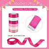 6 Rolls 6 Colors Polyester Ribbon OCOR-CP0001-27C-2
