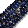 Natural South Africa Sodalite Beads Strands G-S259-35-6mm-2