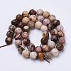 Natural Zebra Jasper Beads Strands G-S281-06-8mm-2