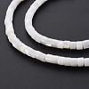 Natural Freshwater Shell Beads Strands SHEL-N027-09-4