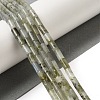 Natural Labradorite Beads Strands G-B091-A09-01-2