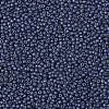 TOHO Round Seed Beads SEED-XTR11-PF0567F-2