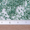 MIYUKI Delica Beads SEED-X0054-DB0060-4