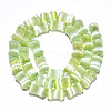 Dyed Natural Selenite Beads Strands G-T138-234E-2