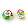 Resin European Beads RPDL-N015-01F-2