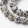 Natural Dalmatian Jasper Bead Strands G-G735-68F-12mm-3