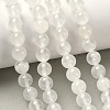 Natural Selenite Beads Strands G-N328-025B-01-5