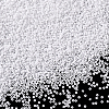 11/0 Glass Seed Beads SEED-PH0003-06-2