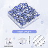 1440Pcs Hotfix Rhinestone RGLA-SC0001-08-2
