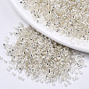 Glass Seed Beads SEED-S042-04A-06-1