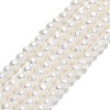 Natural Cultured Freshwater Pearl Beads Strands PEAR-F018-15-01-1