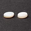 White Shell Cabochons SSHEL-C008-02-4