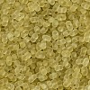Glass Seed Beads SEED-L011-01B-01-3