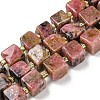 Natural Rhodonite Beads Strands G-G053-B11-01B-1