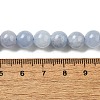 Dyed Natural Malaysia Jade Beads Strands G-G021-02B-22-3