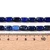 Natural Lapis Lazuli Dyed Beads Strands G-G980-39-5