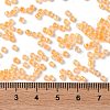 Glass Seed Beads X-SEED-S042-13A-05-4