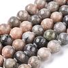 Natural Zebra Jasper Beads Strands G-F676-01-4