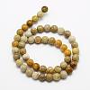 Natural Fossil Coral Beads Strands G-K194-10mm-05-2