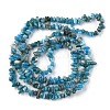Natural Apatite Beads Strands G-G0003-B08-3
