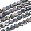 Natural Abalone Shell/Paua Shell Beads Strands X-SSHEL-G003-5-8x3mm-2