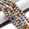 Dyed Natural Regalite/Imperial Jasper/Sea Sediment Jasper Beads Strands G-B124-C02-15-2