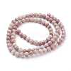 Natural Rhodonite Beads Strands X-G-G099-6mm-33-2