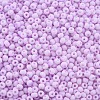 6/0 Glass Seed Beads SEED-T005-14-B06-3