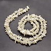 Natural White Mother of Pearl Shell Chip Bead Strands G-M205-63-3