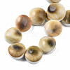 Natural Trumpet Shell Bead Strands SSHEL-N034-113-4