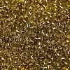 TOHO 8/0 Round Beads SEED-TR08-2155S-2