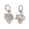 Rack Plating Brass Cubic Zirconia Charms KK-M236-10P-1