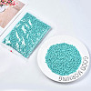6/0 Glass Seed Beads SEED-S058-A-F437-2