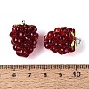 Translucent Resin Pendants RESI-N046-02-3