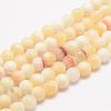 Natural Honey Jade Bead Strands G-K153-B26-12mm-1