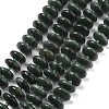 Natural Seraphinite Beads Strands G-A262-B02-01-2
