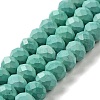 Dyed Natural Howlite Beads Strands G-G023-A01-01C-1