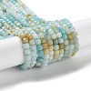 Natural Flower Amazonite Beads Strands G-J400-A08-03-1