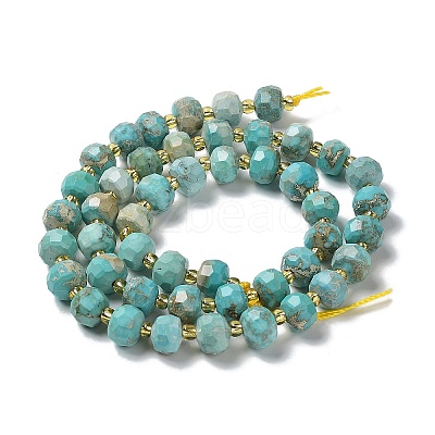 Natural Howlite Beads Strands G-E604-D01-A-1