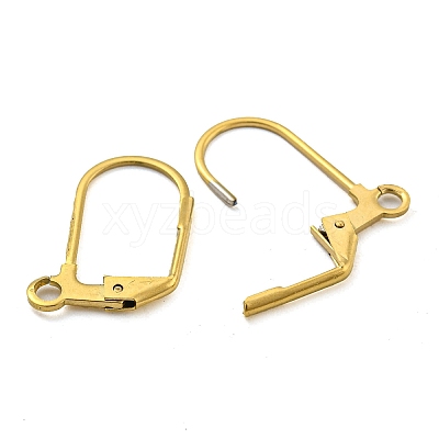 Ion Plating(IP) 304 Stainless Steel Leverback Earring Findings STAS-P360-02B-G-1